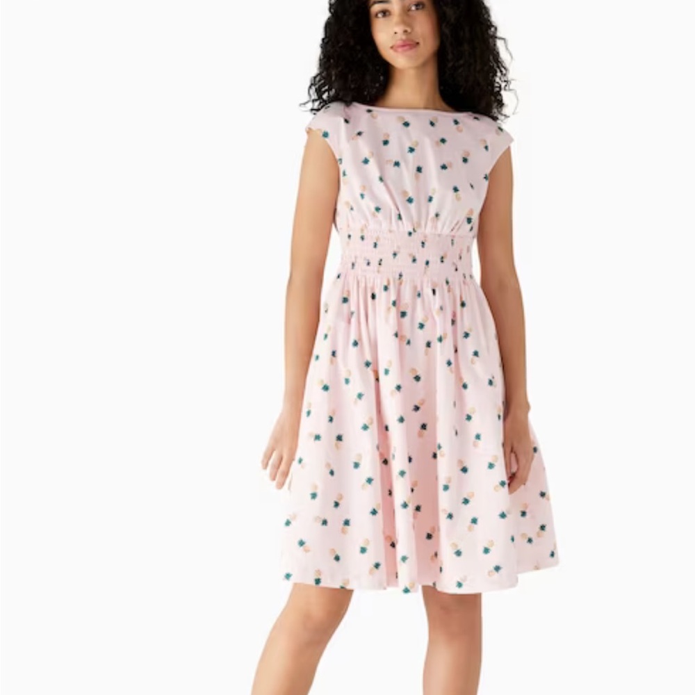Kate Spade Pineapple print blaire dress sizes xs and small available